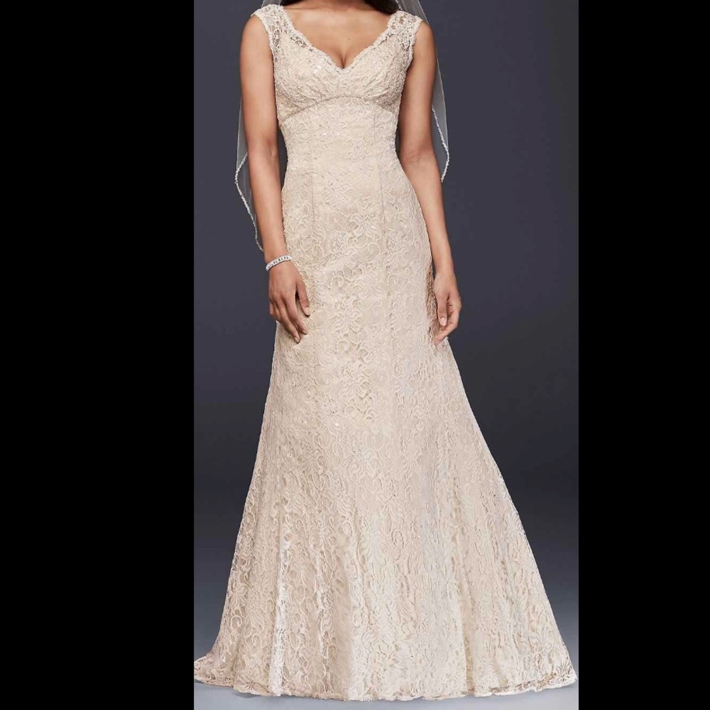 Lace Wedding gown ivory/champagne